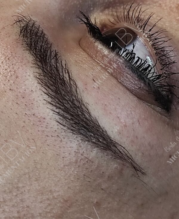 Microblading Cejas - Imagen 2