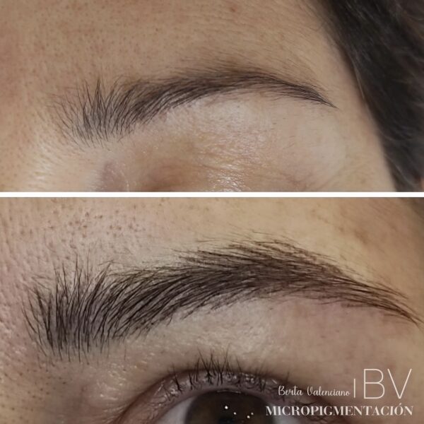 Microblading Cejas