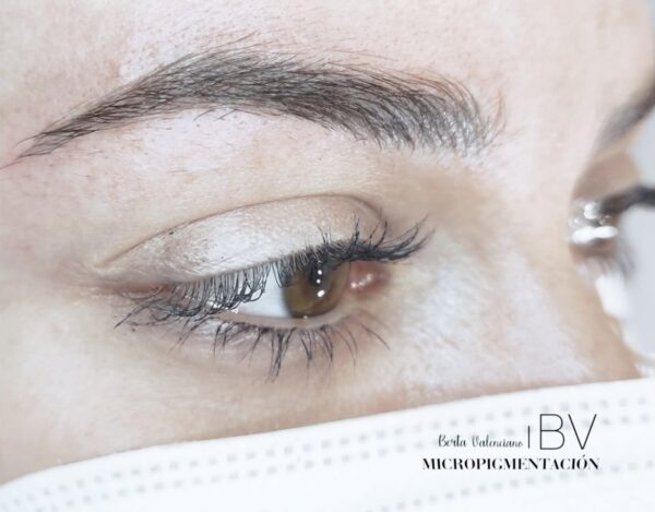 Curso Micropigmentación de Cejas - Imagen 2