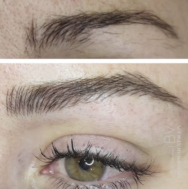 Curso Micropigmentación de Cejas - Imagen 3