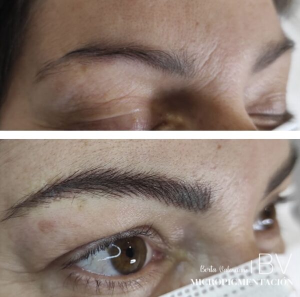 Curso Micropigmentación de Cejas - Imagen 4