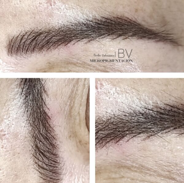 Curso Micropigmentación de Cejas - Imagen 7