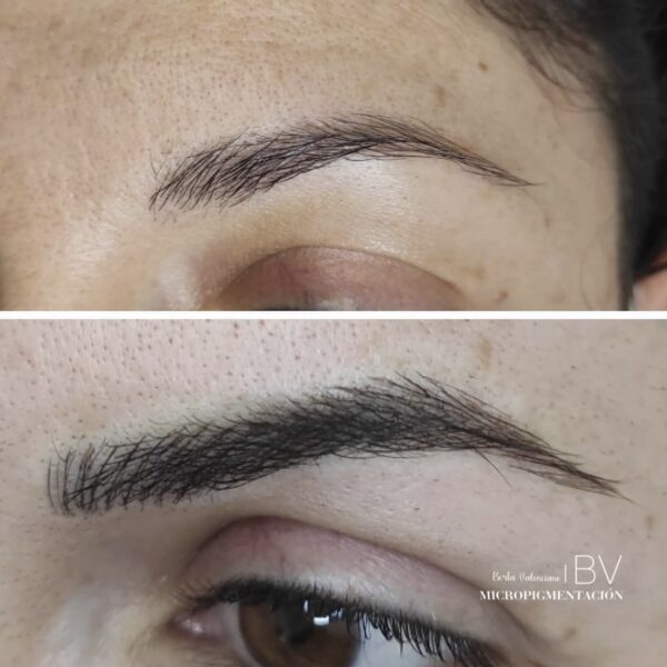 Curso Micropigmentación de Cejas