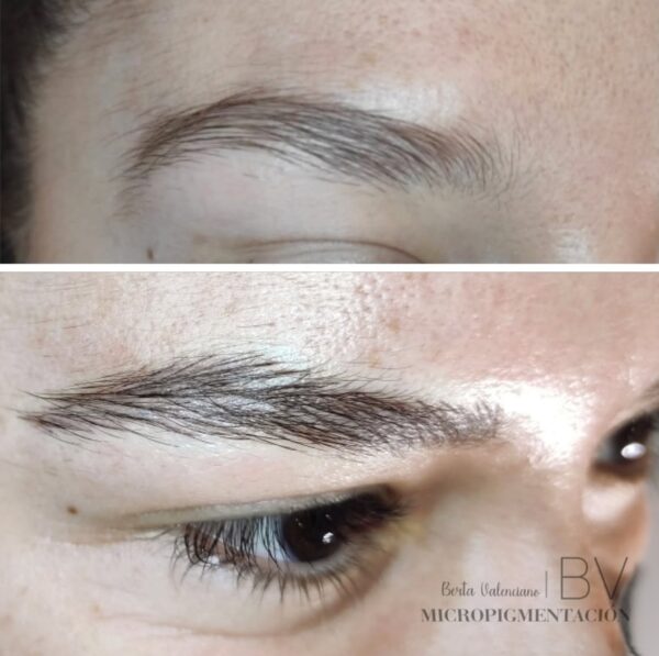 Curso Micropigmentación de Cejas - Imagen 11